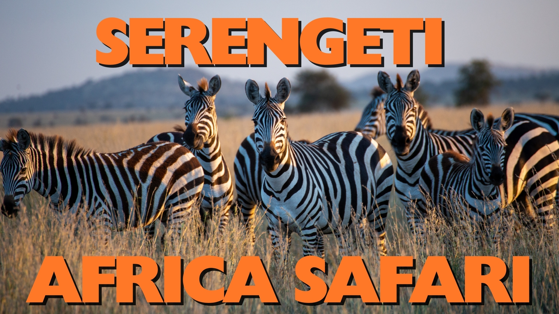 Serengeti Africa Safari