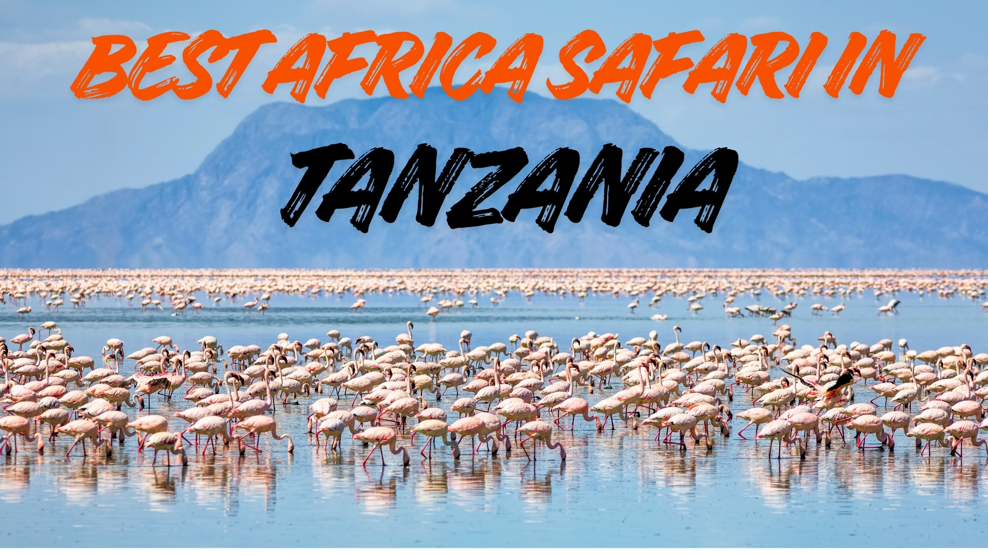Best Africa Safari in Tanzania