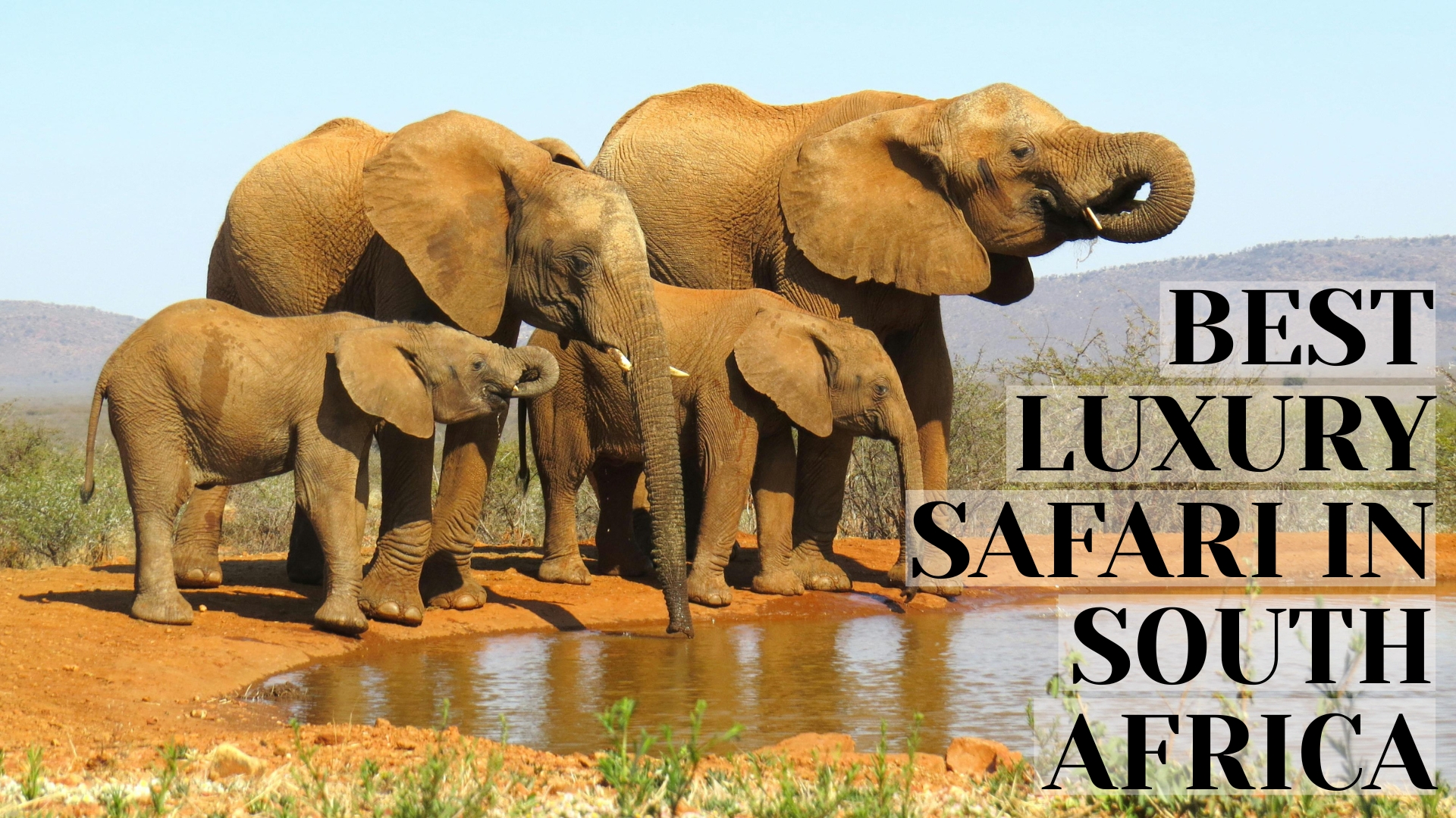 Best Luxury Safari in South Africa