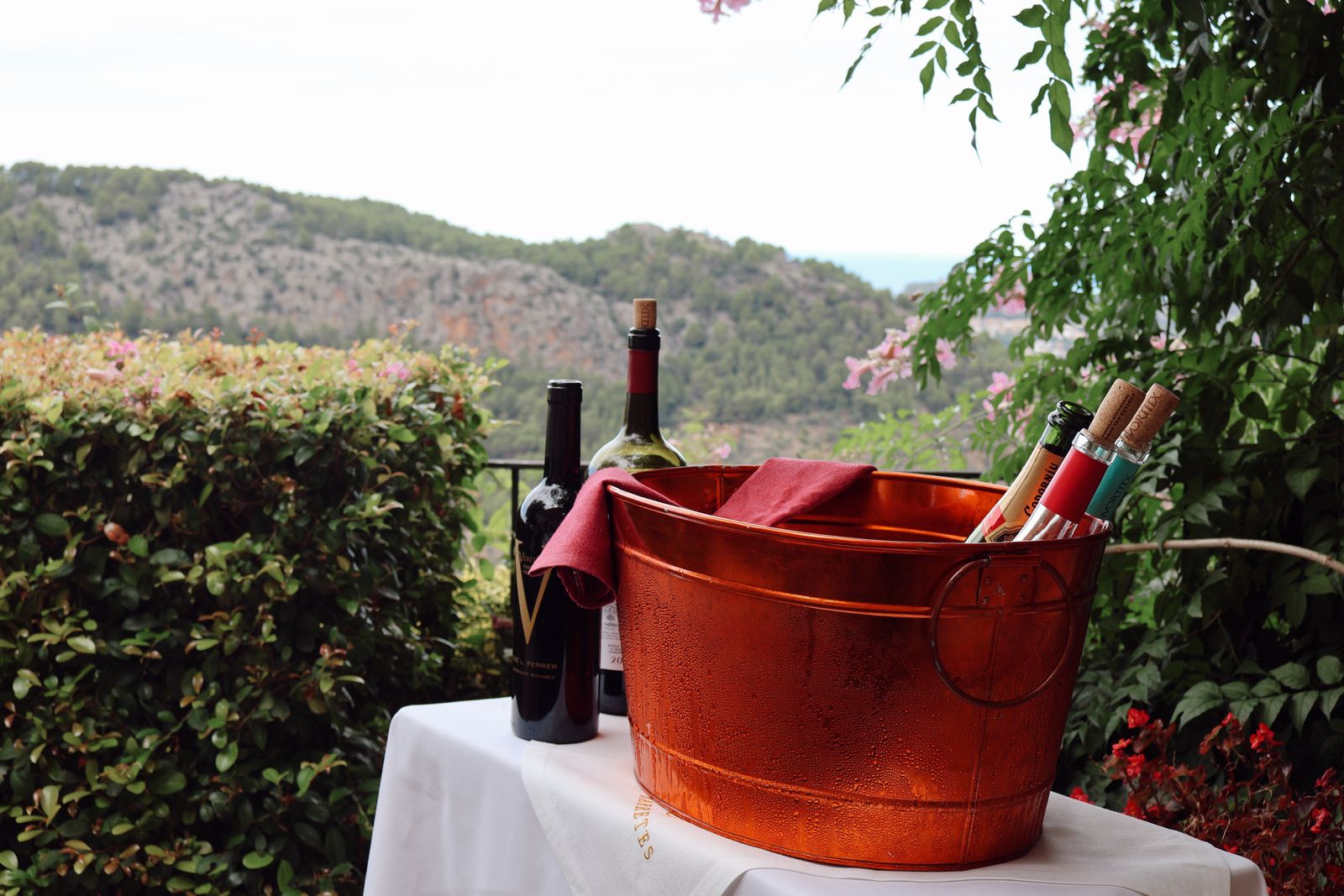 Wine bottles chilled for an outdoor wine tourism experience with vineyard scenery