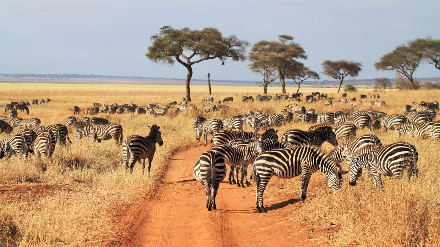 Tarangire National Park