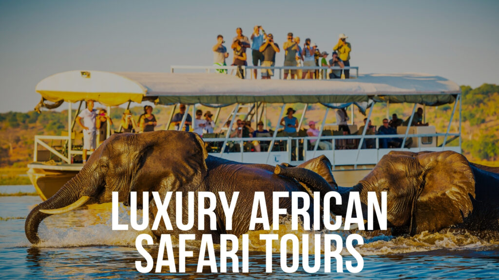 african safari tours