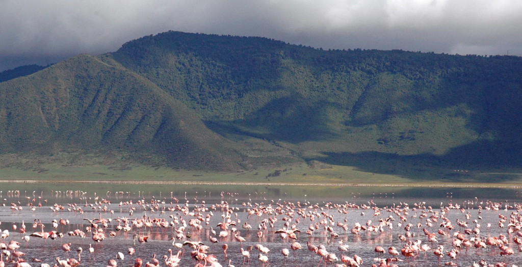 Ngorongoro Crater